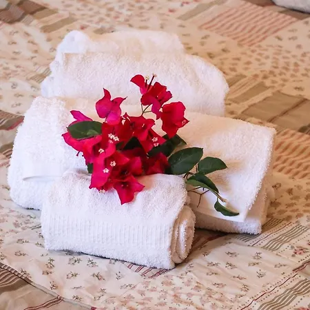 Elegant With Sea View In + Private Pool *